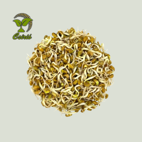 Semințe de germeni de schinduf