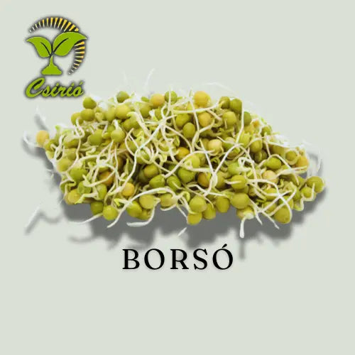 Borsó Csíra Mag