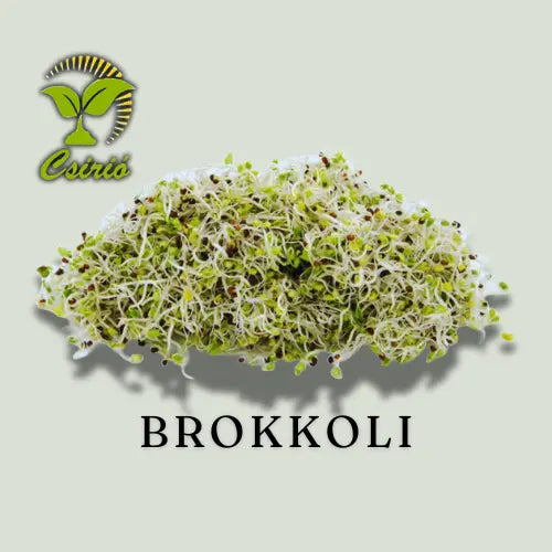 Semințe de germinare de broccoli