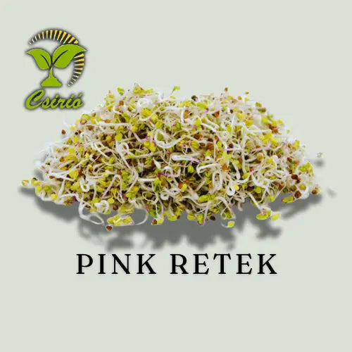 Pink Retek Csíra Mag