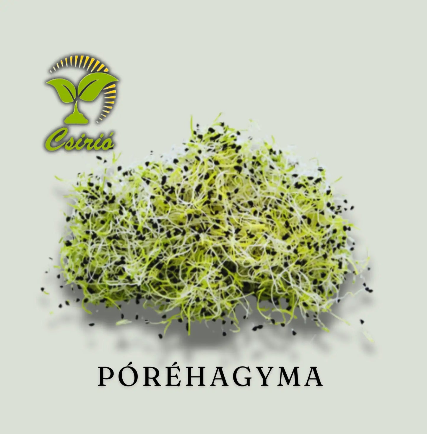 Sămânță de muguri de praz