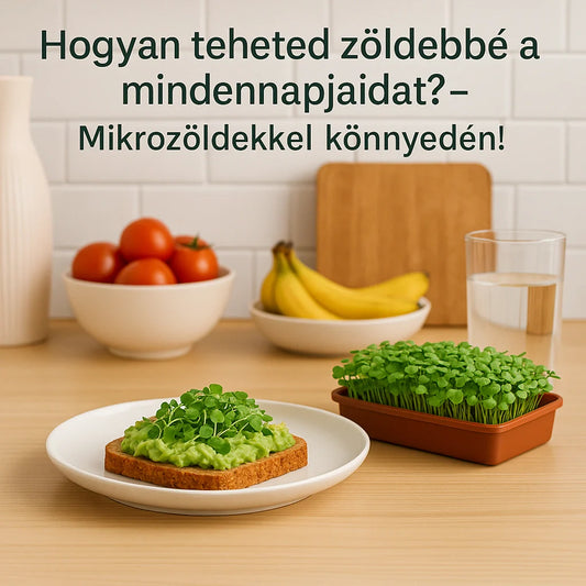 Hogyan teheted zöldebbé a mindennapjaidat? – Mikrozöldekkel könnyedén! 🌱