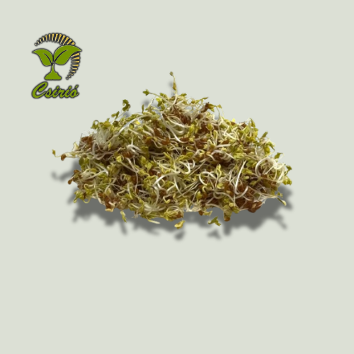 Zsázsa Csíra Mag 50g