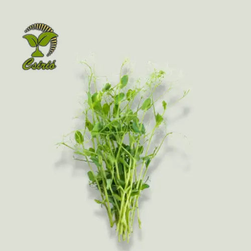 Semințe de mazăre Microgreen