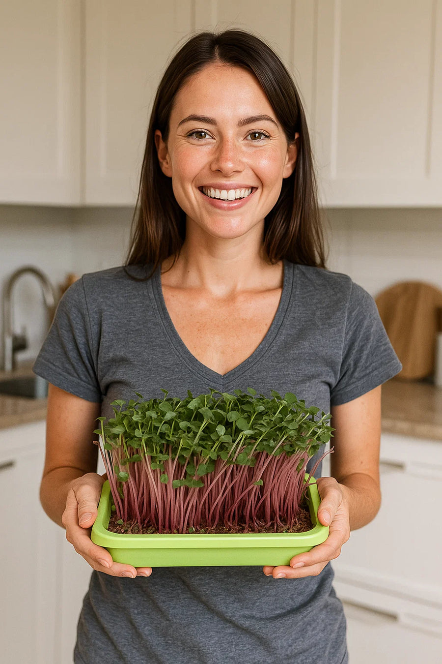 Friss mikrozöldek tálban