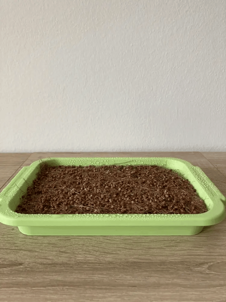 Friss energia. Egészséges élet.